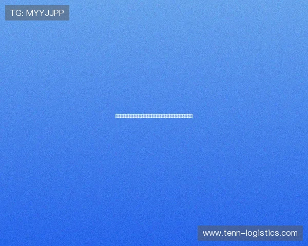 鏍肩綏瑗胯尐鍩猴細鏈珶鐨勫浗鑴氭ⅵ涓庤幈涓囩殑鍏勫紵鎯呬粐